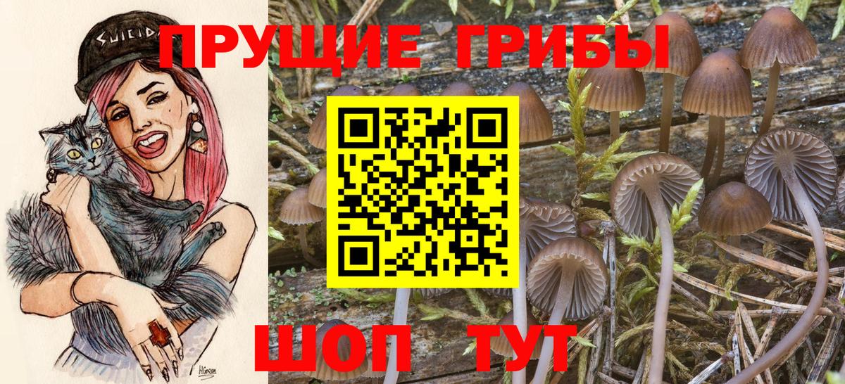 Псилоцибиновые грибы Magic Shrooms Будённовск