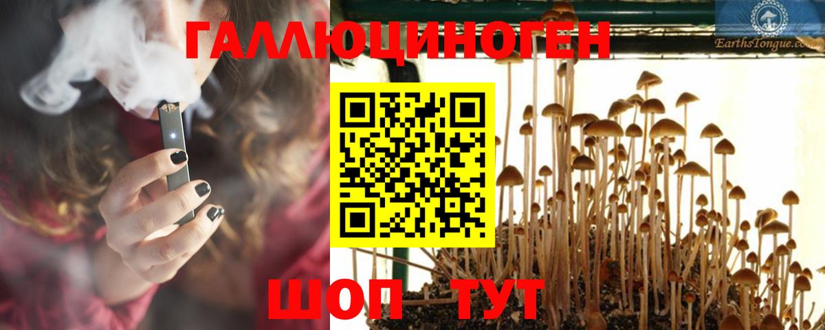 Будённовск  Галлюциногенные грибы Psilocybine cubensis  Вход с VPN 